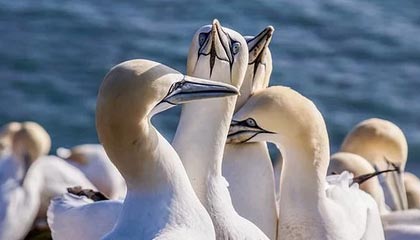 平顶山伴游，定制QQ：3494206190微信：act1322